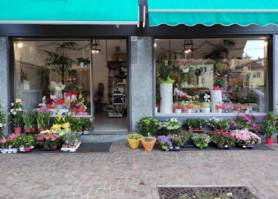 Fiorista Il Giardino, Fiorista a Laveno-Mombello