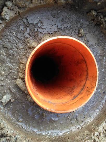 Giardinaggio Napoli il Petalo Sas, Fiorista a Grumo Nevano