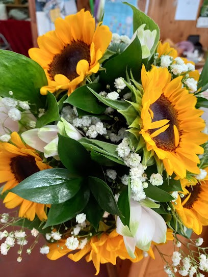 La mimosa, Fiorista a Carbonia