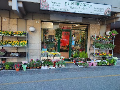 Fioreria Punto Verde, Fiorista a Modena