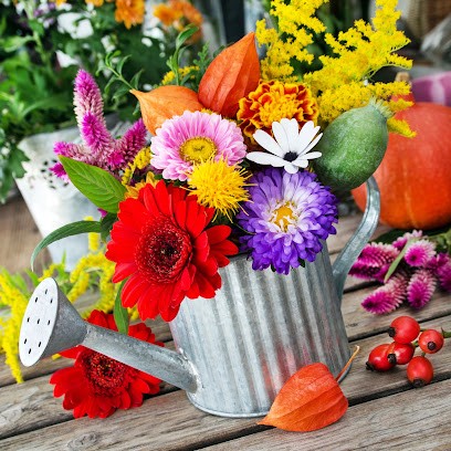 ANDREINA FIORI Di Soddu Andreina, Fiorista a Orani