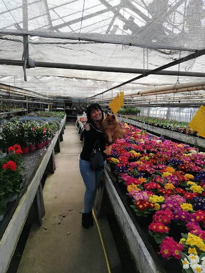 Floricoltura Ciocchetti, Fiorista a Vercelli