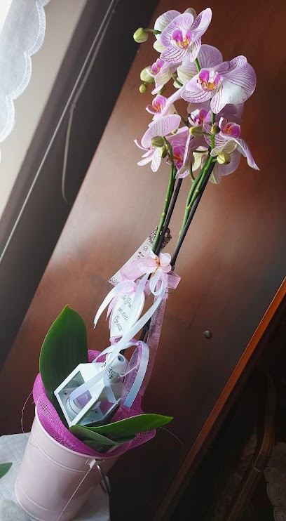 Centro Fiorito Di Beltrami Gloria, Fiorista a Piacenza