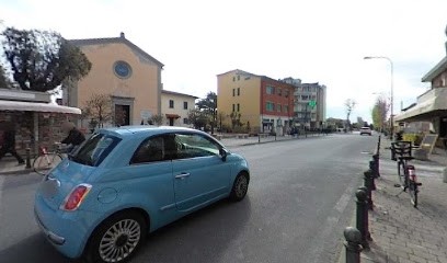 Fiorista Da Mary & Sandra Di Antioco Sandra, Fiorista a Collesalvetti