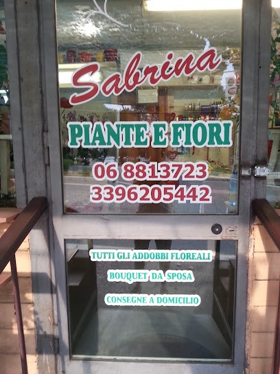 Fioraio - Piante E Fiori - Abbobbi - Colle Salario - Porta Di Roma, Fiorista a Roma