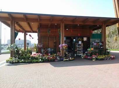 Albaflor, Fiorista a Rozzano