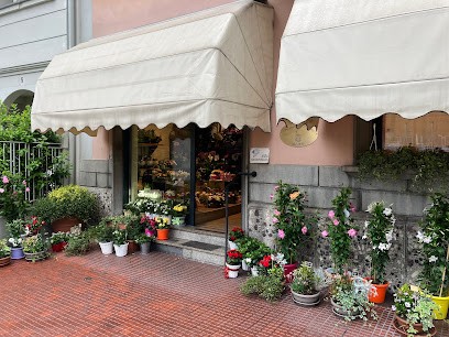 Fioreria Del Duomo (S.N.C.), Fiorista a Piacenza