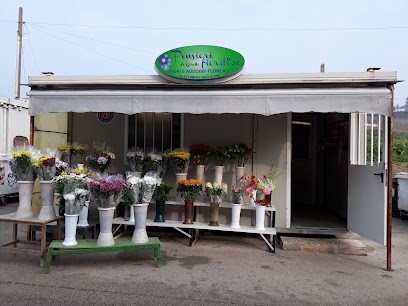 Il Quadrifoglio, Fiorista a Ancona