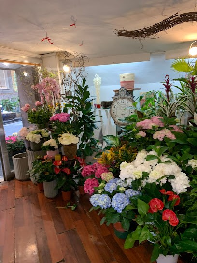 Il Teatro Dei Fiori, Fiorista a Napoli