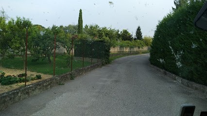 Tec Ar Flor, Fiorista a Ornago