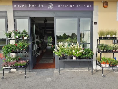 Fioreria - Novefebbraio Officina Dei Fiori -, Fiorista a Vicenza
