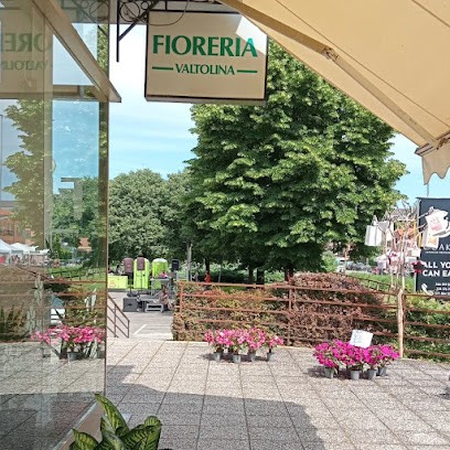 Fiorista Valtolina Di Silvana Valtolina, Fiorista a Crema