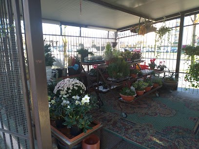 Fiori del chiosco, Fiorista a Seriate