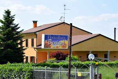 Floricoltura Benigni, Fiorista a Badia Polesine