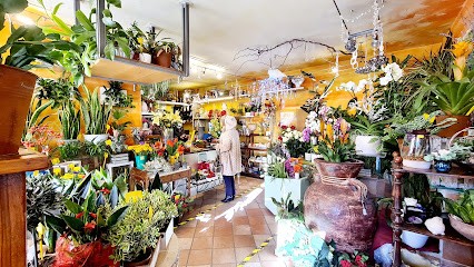 Fiorista La Bottega Del Fiore Di Riccardi Fabrizia, Fiorista a Langhirano