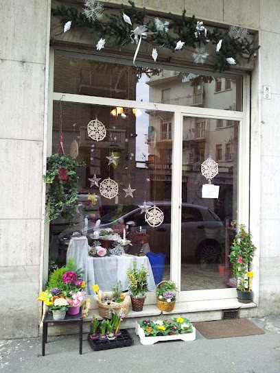 Il Giardino Di Enrico - La Magia Della Natura, Fiorista a Torino