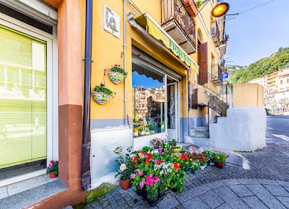 La Casa Del Fiore - Vivai Busalla Di Rosanna Torretti, Fiorista a Jerzu