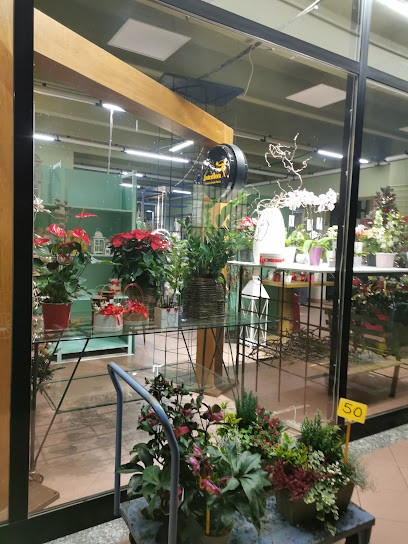 Zandi Fiori Srl, Fiorista a Mortara
