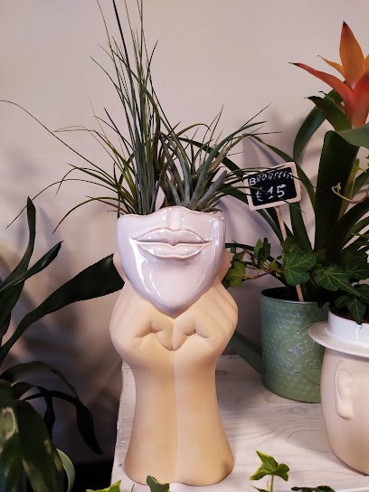 Cinque Di Fiori, Fiorista a Cercenasco