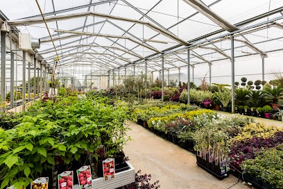 Garden La Fiorita Di Dalla Nora Salvatore, Fiorista a Mansuè