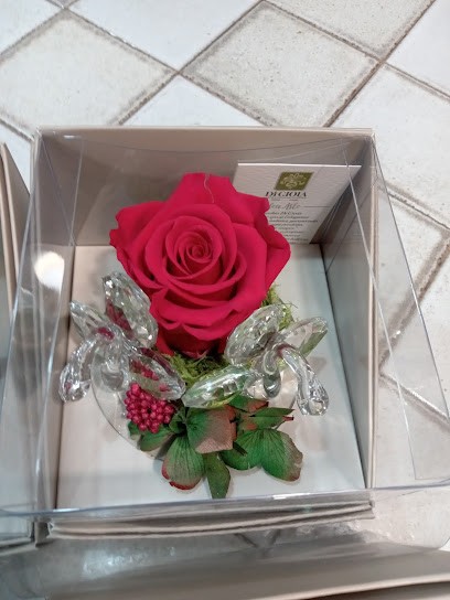 Casa Del Fiore, Fiorista a Vobarno