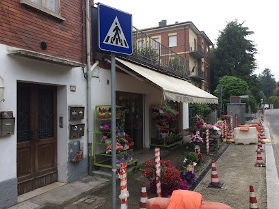 Nuova Fioreria Ada, Fiorista a Reggio nell'Emilia