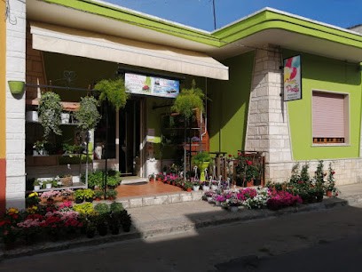 FIORI PER DIRE, Fiorista a Torchiarolo