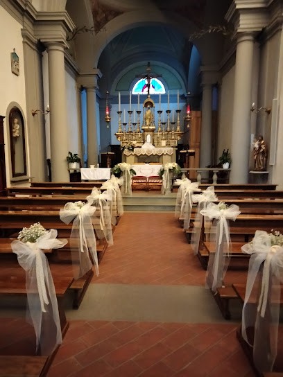 Piante E Fiori Toci Roberta, Fiorista a Firenze