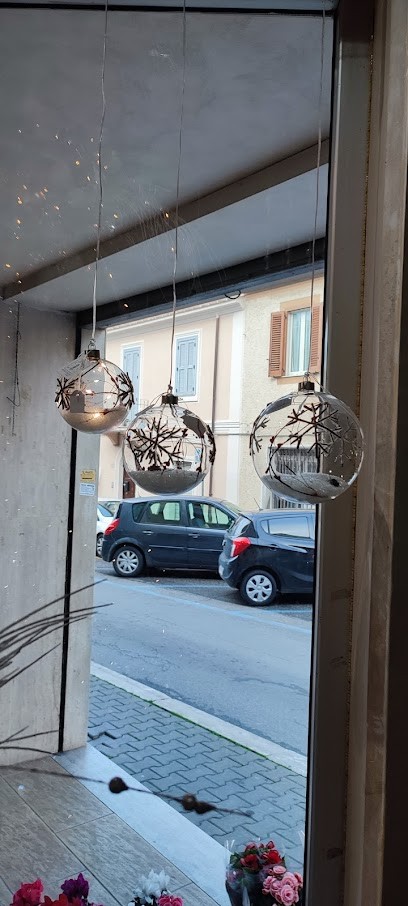 La Primavera Fiori E Piante, Fiorista a Cerveteri