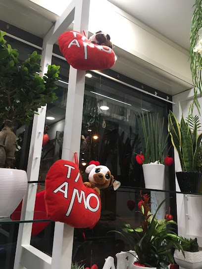 Le 4 Stagioni di Difino Antonia in Bondanese, Fiorista a Noicattaro