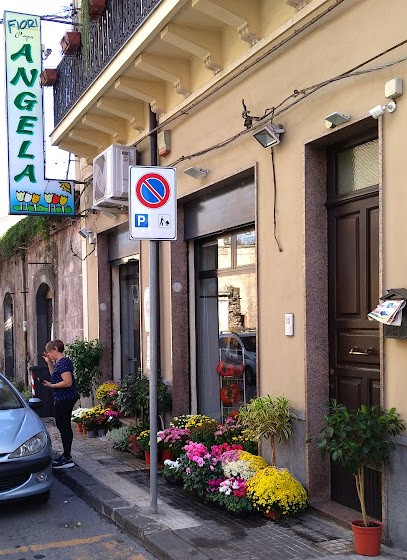 Fiori Papa Di Capilli Angela, Fiorista a Giarre