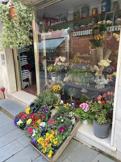 Nontiscordardimé, Fiorista a Moneglia