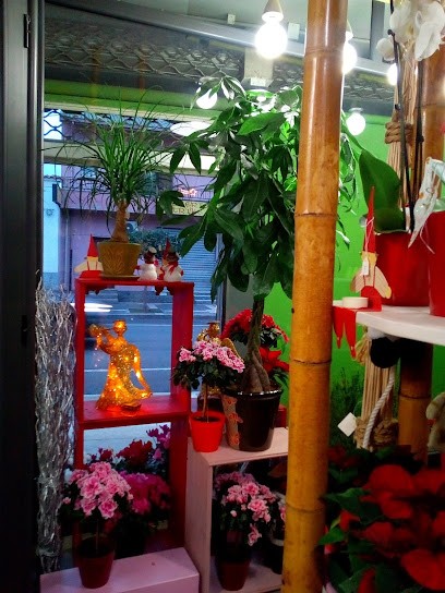 Fiorista Laura, Fiorista a Monastir