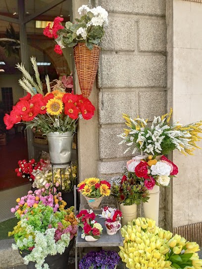 Il Fiordaliso, Fiorista a Lodi