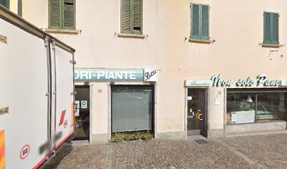 Ratti Fiori, Fiorista a Alzate Brianza