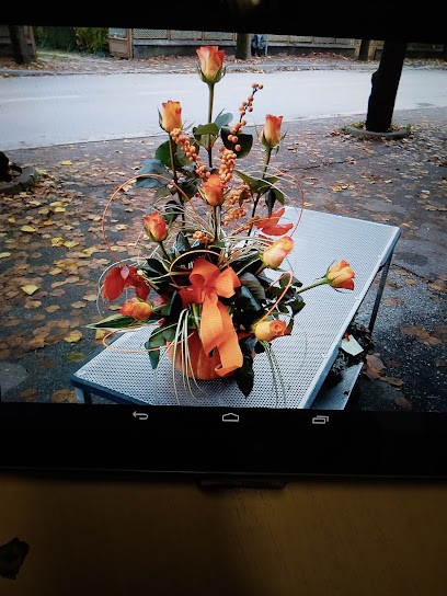 Fioreria Achillea, Fiorista a Feltre