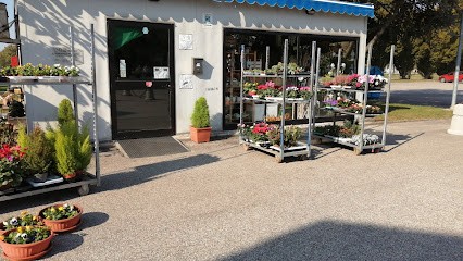 Flowers Shop, Fiorista a Boretto