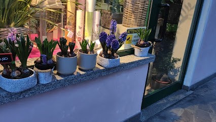 Mazzucato Elisa, Fiorista a Fossò