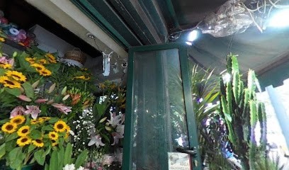 Abeha Flower House, Fiorista a Roma