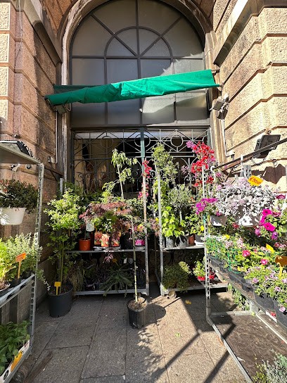 Gambetta Fiori Di Francesco Bannini, Fiorista a Genova