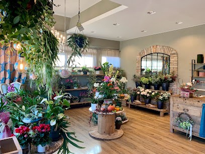 Fioreria “Il Sottobosco”, Fiorista a Santa Maria di Sala