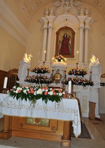 la rosa blu, Fiorista a Marcellinara