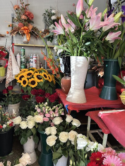 I Fiori Di Maria, Fiorista a Roma