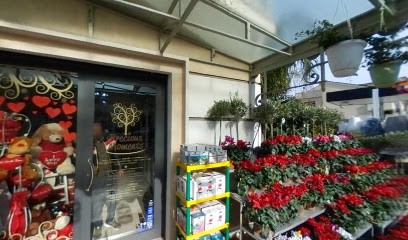 Rose Rosse, Fiorista a Isola del Liri