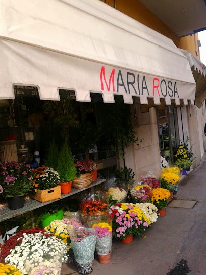Maria Rosa Fiorista, Fiorista a Bologna