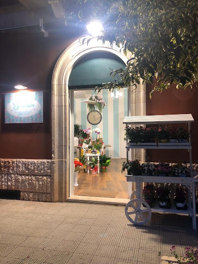 Basilikos Store di Mimmo Bolognino, Fiorista a Conversano
