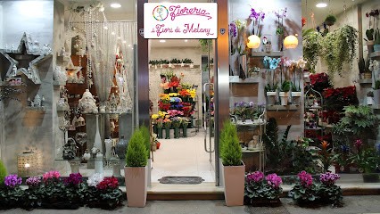 I Fiori Di Melany, Fiorista a Foggia