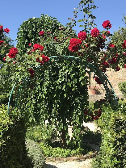 La Bottega Piante E Fiori Di Van, Fiorista a Monteleone d'Orvieto
