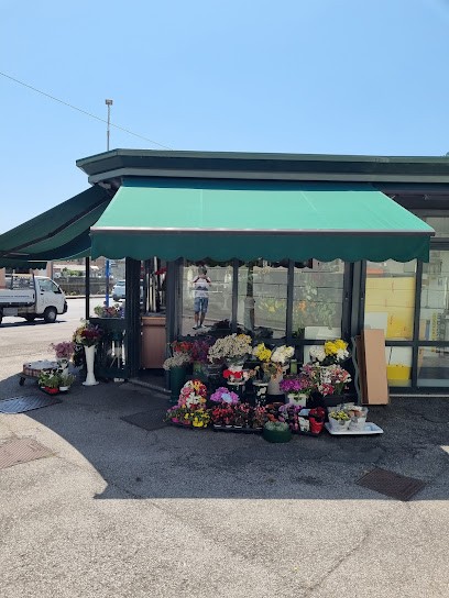 Menta Fiori Di Conte Carmela, Fiorista a Genova