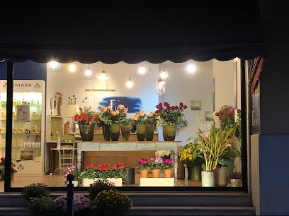 Profumo Di Fiori, Fiorista a San Bonifacio